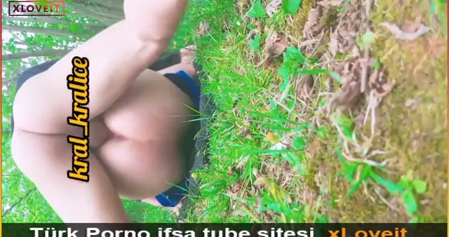 Fındık bahçesinde sex videosu — Amatör Porno · sahne 2