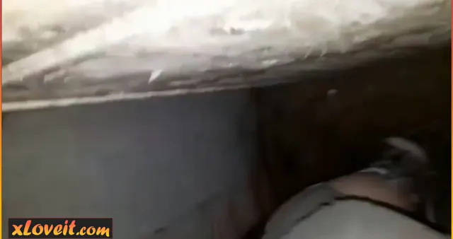Köylü kızı ahırda sakso çektirip sikiyor — Amatör Porno · sahne 3