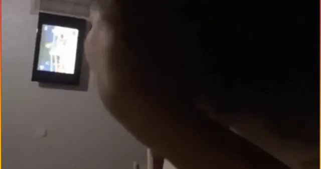 Sikine bira döküp yaladıktan sonra sikiş yaptılar — Konulu Porno · sahne 1